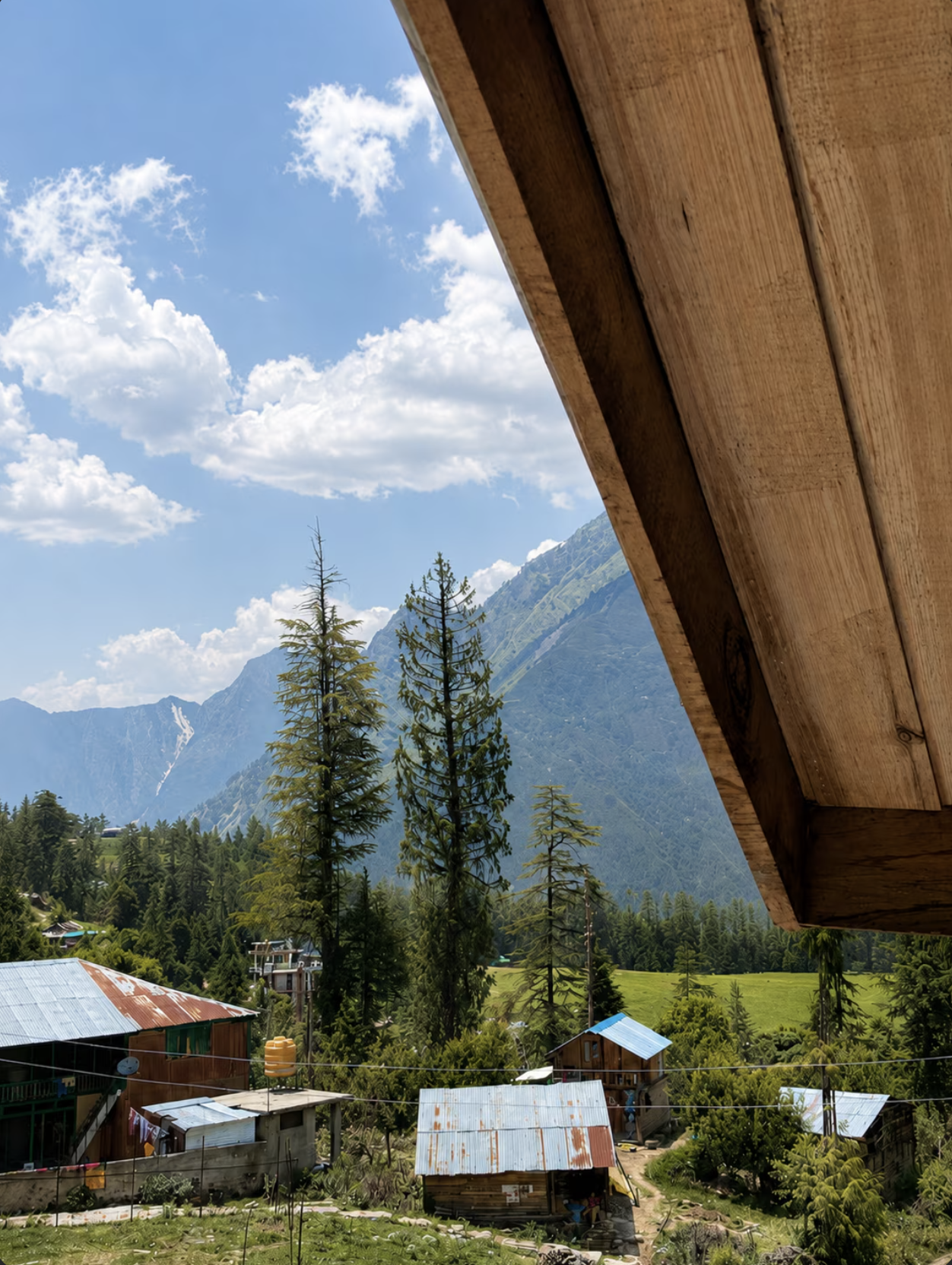 View from Chapter 1 at The Library Cafe & Stay